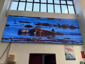 full color led matrix screen module  p2.5